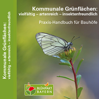 Titelbild des Praxis-Handbuchs / Schmetterling auf Blüte