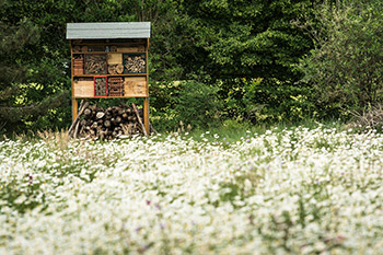 Wildbienen-Nisthilfe