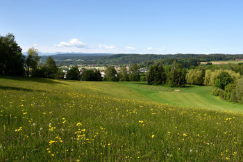 Blühwiese, Foto: Frank Föhlinger