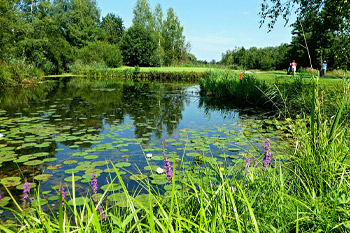 Teich, Foto: Reinhold Bartholmess