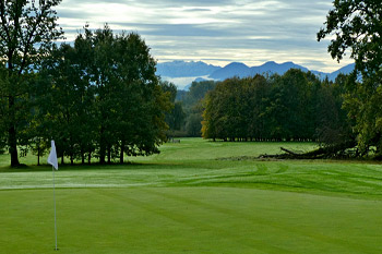 Bäume und Totholz, Foto: Reinhold Bartholmess