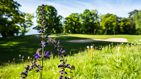 Golfplatz Feldafing