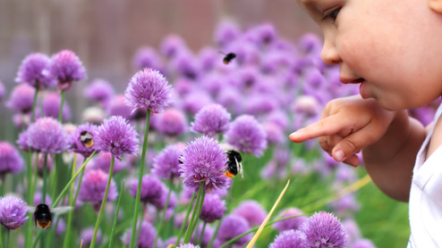 Kind zeigt auf eine Hummel, die auf einer Blüte sitzt