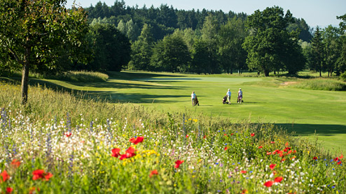 Golfplatz Riedhof