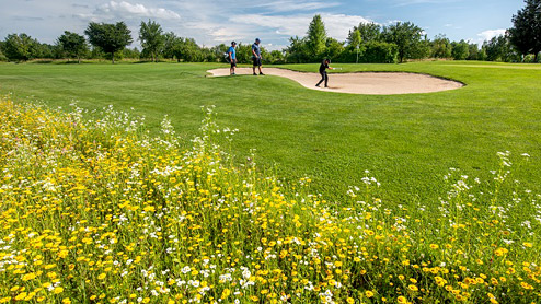 Blühfläche auf Golfplatz, Foto: Ingo Zahlheimer