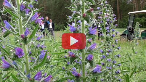 Titelbild des Youtube-Videos zum Beitritt des Bayerischen Golfverbandes zur Blühpakt-Allianz