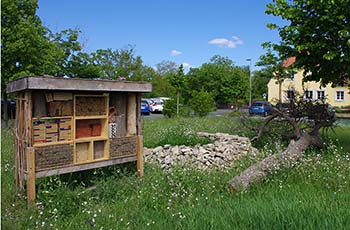 Förderung der Blütenvielfalt