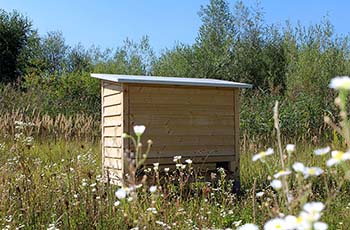 Bienenstand auf Blühfläche