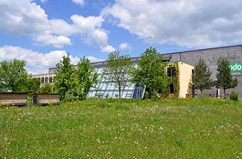 Blühflächen vor dem Firmengebäude