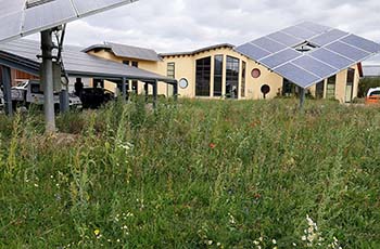 Firmengebäude mit Solarpanels und artenreicher Wiese