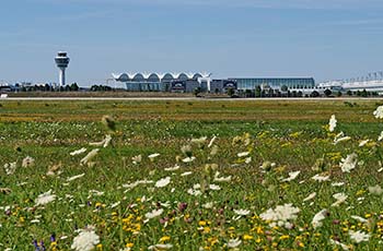 Flughafen München