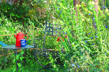 Sitzplatz im Garten