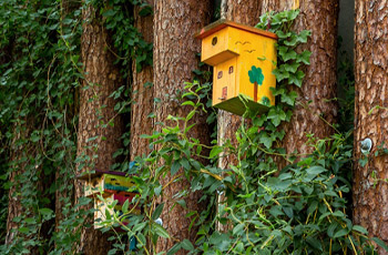 Vogelnistkästen