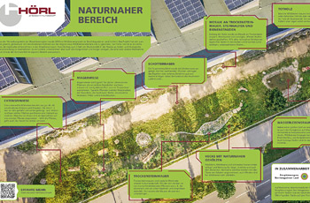 naturnahe Fläche