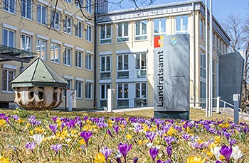 Landratsamt Hauptgebäude Haupteingang Wiese mit Krokusblüte