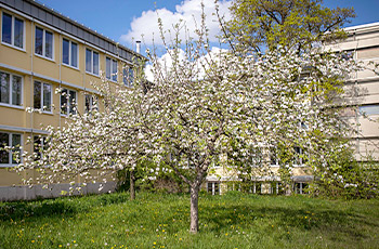 Landratsamt Hauptgebäude Südseite Neubau Obstwiese