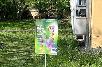 Blumenwiese mit Infoschild
