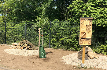 Stein- und Totholzhaufen, Streuobstbaum mit frisch angelegter Blühfläche