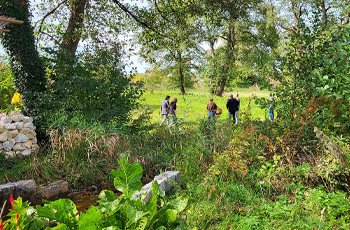 Gruppe in der Natu