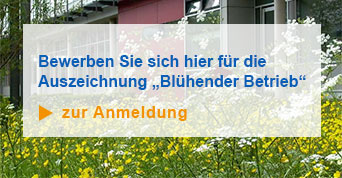 Anmeldung