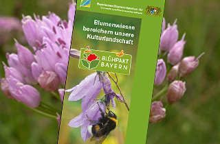 Blumenwiesen Flyer