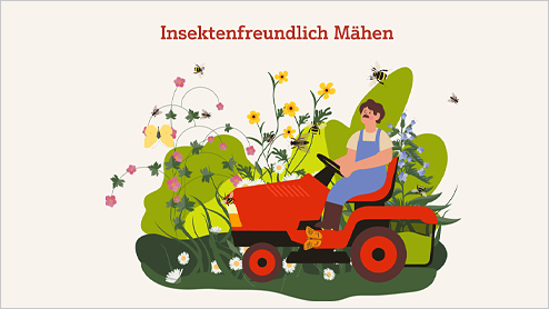 Illustration eines Mannes auf einem Aufsitzrasenmäher in einem naturnahen Garten