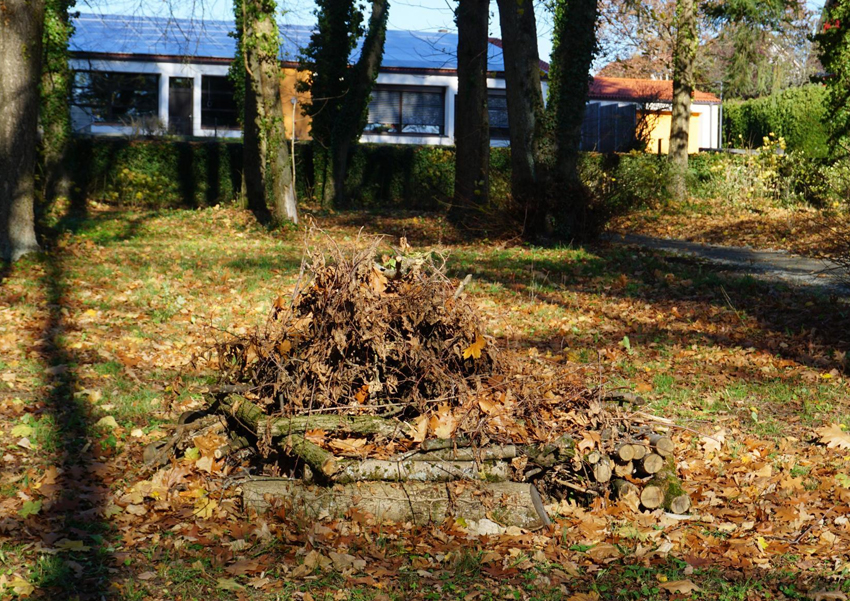 Totholz und Überwinterungshilfe in der Parkanlage (14.11.2022)