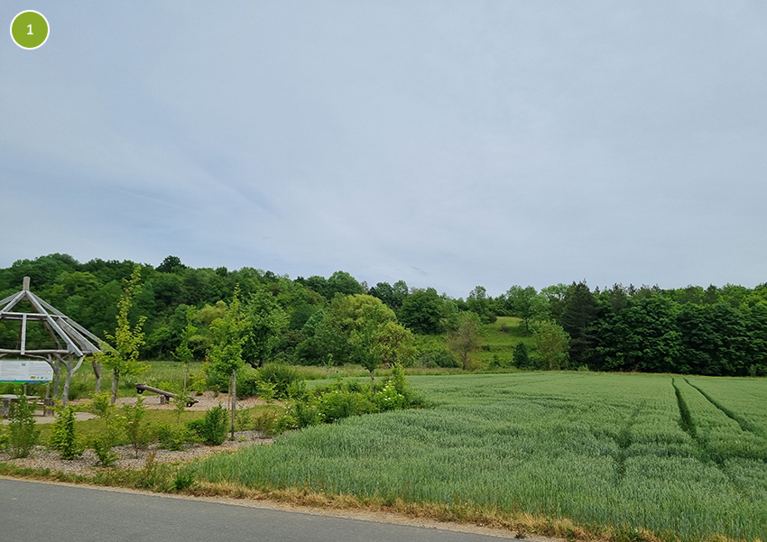 Ansicht Frühjahr 2022 Gemeinde Kirchheim Ortsteil Kirchheim, Fäche 1, 1001 m²