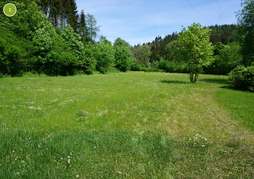 Fläche im Naturbad Rothenkirchen (19.05.2022)