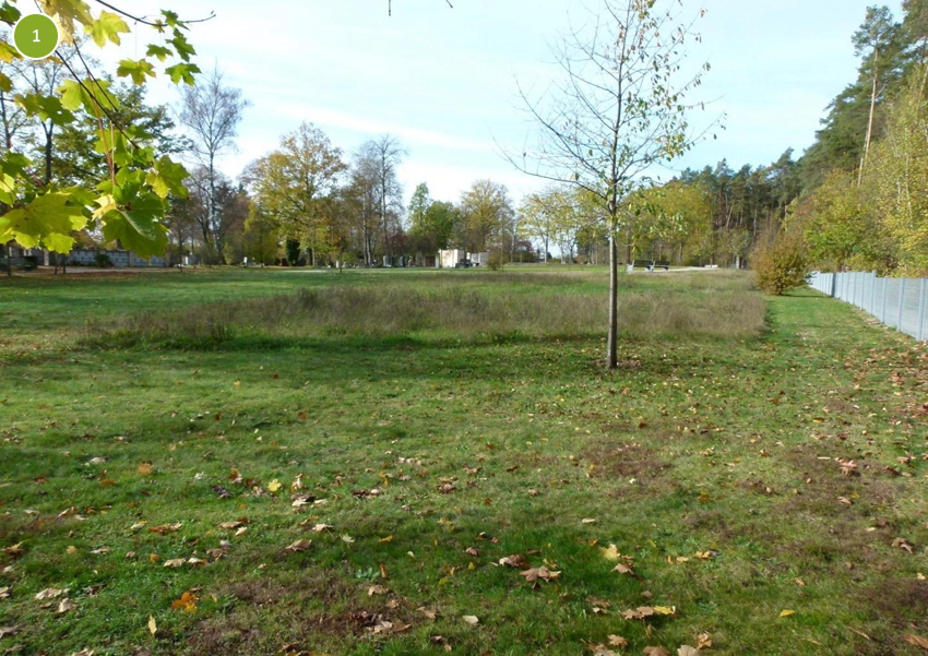 Ansicht Herbst 2022, nach Umstellung des Mähkonzepts, Friedhof der Gemeinde Schwarzenbruck Ortsteil Schwarzenbruck, Teilfläche 1, 1955 m²