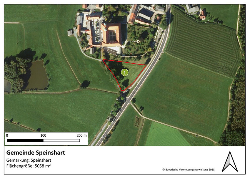 Lageplan Gemeinde Speinshart Ortsteil Speinshart, Fläche 1, 5058 m²