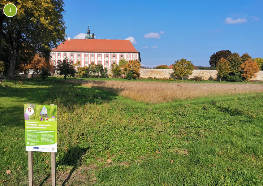 Ansicht Herbst nach Ansaat und Pflanzung 2022 Gemeinde Speinshart, 5058 m²