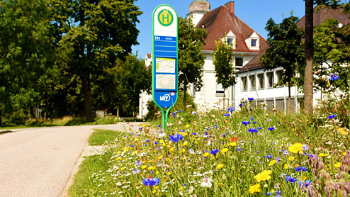 Starterkit - 100 blühende Kommunen