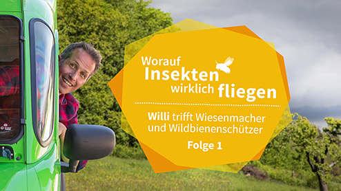 Titelbild zum Film ,Worauf Insekten wirklich fliegen' Folge1