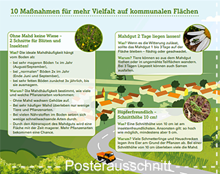 Ausschnitt des Posters