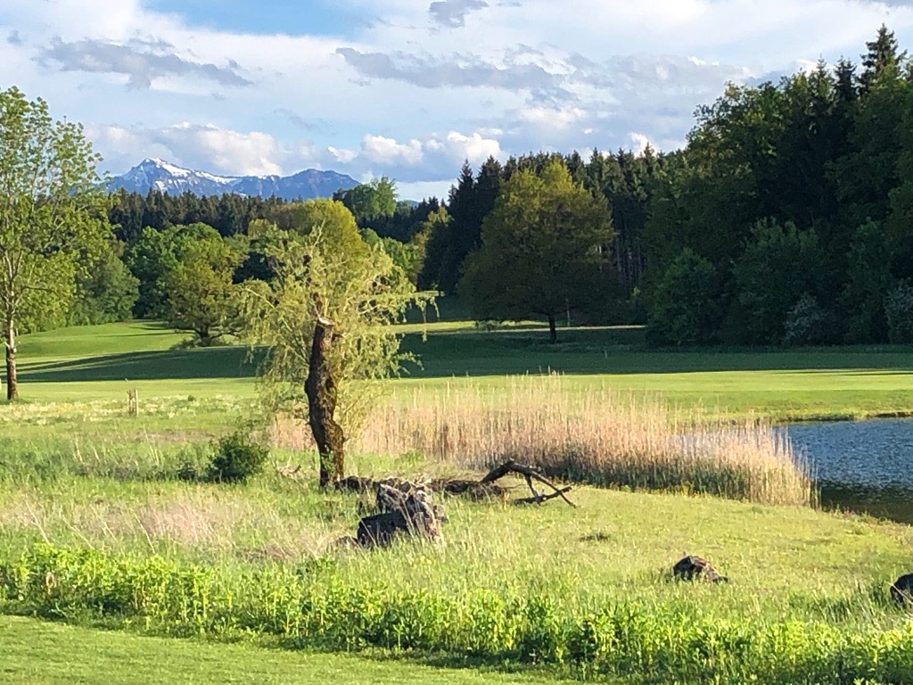 Strukturreiches Gelände mit Totholz, Foto: Golf-Club Chieming e.V.