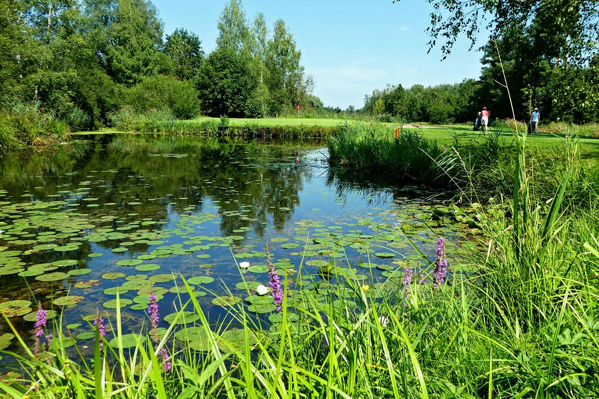 Teich, Foto: Reinhold Bartholmess