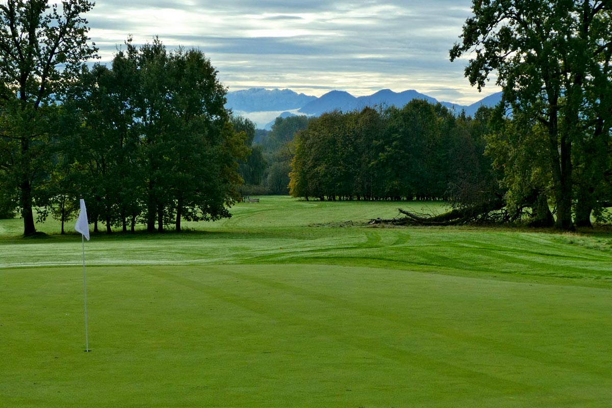 Bäume und Totholz, Foto: Reinhold Bartholmess