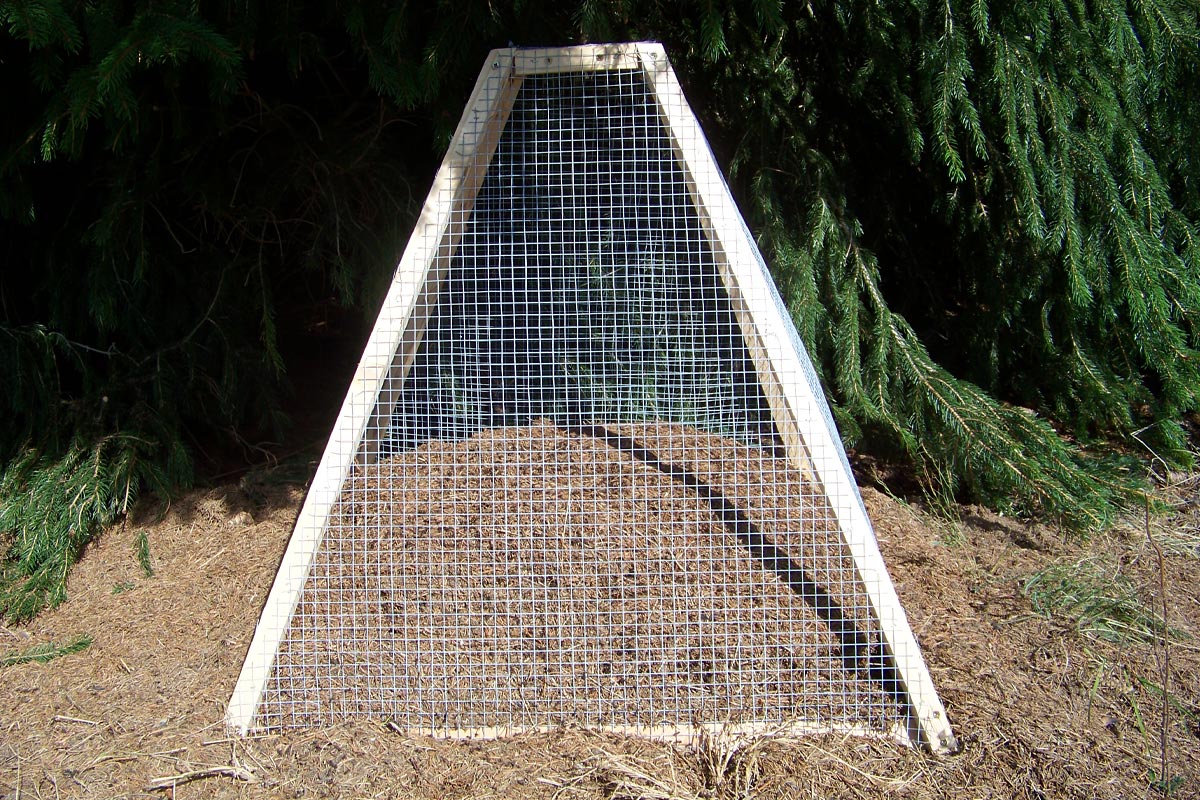 Neuer Lebensraum für Ameisen