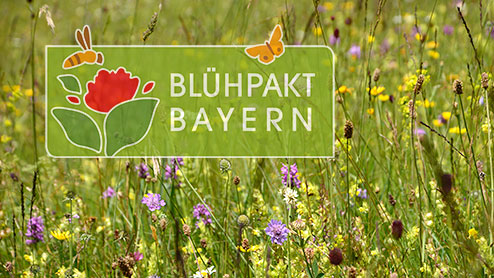 Blühpakt Bayern Logo