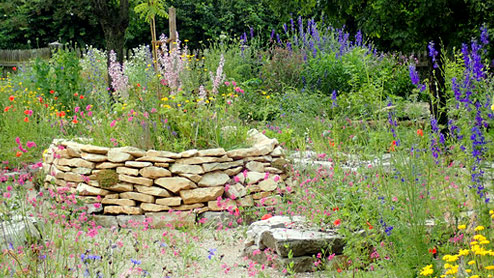 Natursteinmauer und bunte Pflanzen