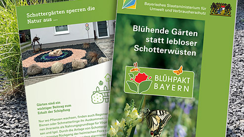 Blühpakt Flyer: Blühende Gärten statt lebloser Schottergärten