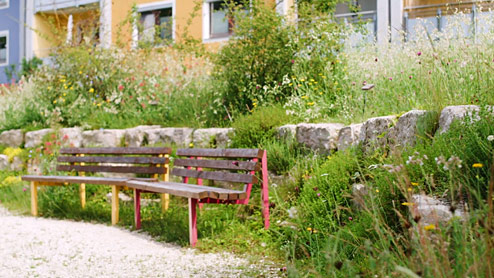 Naturnahe Grünfläche am Rande von Bamberg