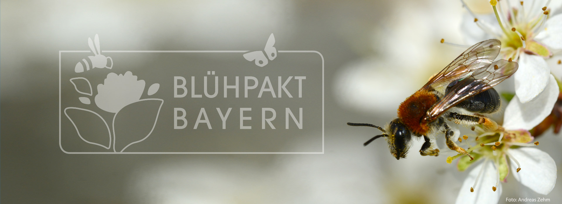 Wildbiene und Blühpakt-Logo